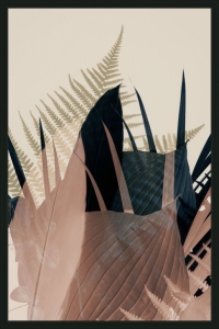 Welcome to the Jungle 26 by Ian  Winstanley